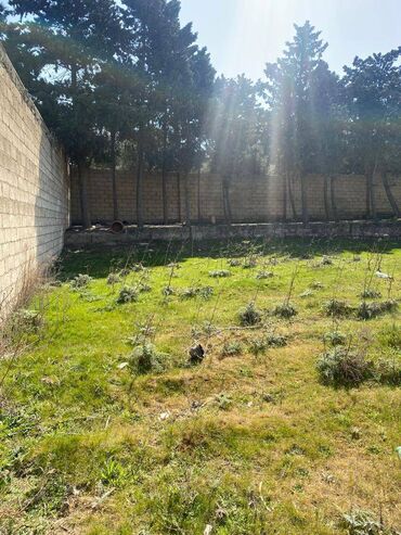 Torpaq sahələrinin satışı: 10 sot, Tikinti, Makler, Kupça (Çıxarış) — 8