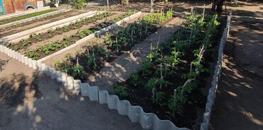 Продажа участков: 10 соток — 11