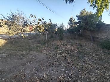 şuşa qesebesi: 3 otaqlı, 90 kv. m, Kredit yoxdur, Orta təmir — 9