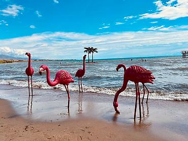 Иссык-Куль 2026: Коттедж, Коттедж в ЦО Palm Beach (Палм Бич) ЦО Palm Beach, Чок-Тал, Детская площадка, Парковка, стоянка, Охраняемая территория — 23