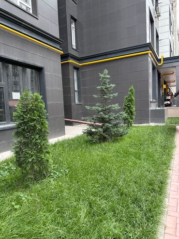 Продажа квартир: 1 комната, 42 м², Элитка, 13 этаж, Евроремонт — 3