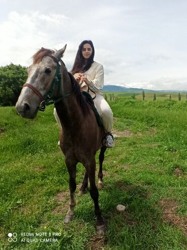 Туристические услуги: Конный Туризм Прокат лошадей обучения верховой езде организация — 13