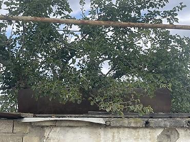 baki tekstil fabriki elaqe: Bak, Metal, 1500 l l, Yeni, Ünvandan götürmə — 1