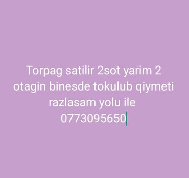 türkanda torpaq: Mülkiyyətçi