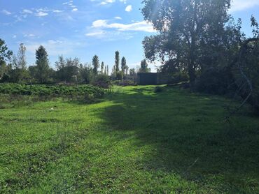 Bağ evlərinin satışı: Xaçmaz, 2 kv. m, 1 otaqlı, Hovuzsuz, Qaz, Su, İşıq — 7