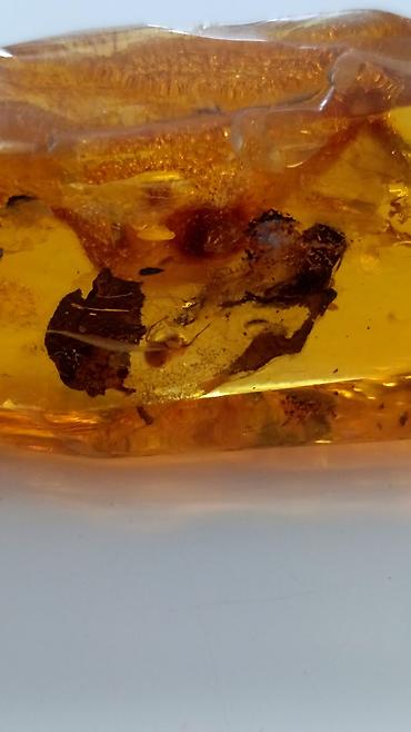 Qiymətli daşlar: Kəhrəba, Pulsuz çatdırılma — 4