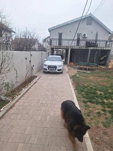los re: MASKA ZA AUDI Q3 OD 2011. DO 2015. GOD. | AUDI Q3 2.0TDI QUATRO — 3