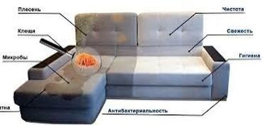 Дезинфекция, дезинсекция: Химчистка мебели, | Матрасы, Ковролин, Мягкая мебель