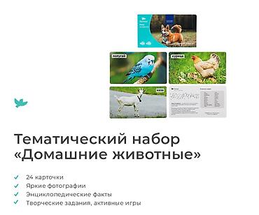 gta 5 kaset: Игровая энциклопедия "в фотографиях — 6