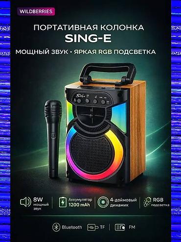 rant ace: Портативная акустика SING-E с микрофоном – компактная колонка для — 3