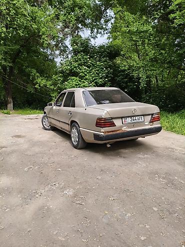 1520 мерс: Mercedes-Benz W124: 1989 г., 2.5 л, Механика, Дизель, Седан — 4
