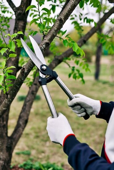 няни на дому: Агроном-садовод с многолетним опытом работы. Помощь с обрезкой