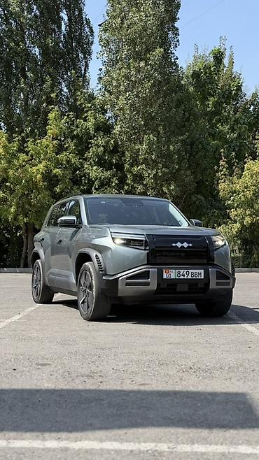 byd leopard 3 цена: BYD FangChengBao Leopard 3: 2025 г., Автомат, Электромобиль, Кроссовер — 1