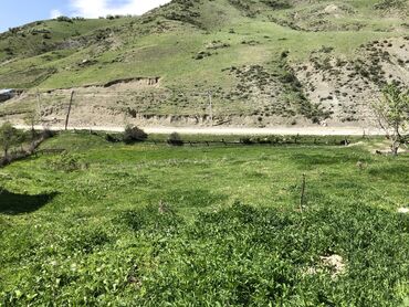 Torpaq sahələrinin satışı: 30 sot, Kənd təsərrüfatı, Mülkiyyətçi, Kupça (Çıxarış) -da lalafo.az — 14 Torpaq sahələrinin satışı: 30 sot, Kənd təsərrüfatı, Mülkiyyətçi, Kupça (Çıxarış) — 14