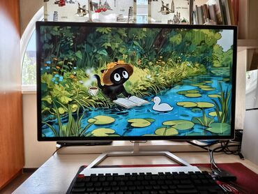 asus e410ma: Монитор, Philips, Колдонулган, LCD, 31" - 32"