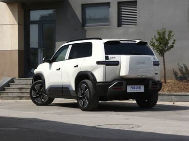 BYD: BYD : 2025 г., Электромобиль, Внедорожник — 5