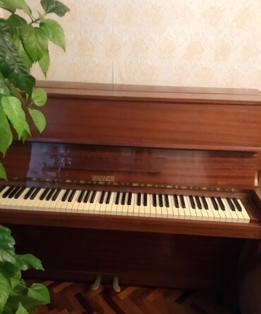pianino gence: ‼️Avropa Petrof istehsali Wagner pianinasi satılır.900 AZN unvan.baki