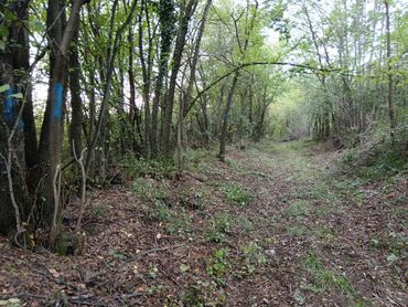 Prodaja zemljišta: 58 ares, Poljoprivredno zemljište, Vlasnik — 4