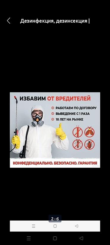 Дезинфекция, дезинсекция: Дезинфекция, дезинсекция, | Клопы, Блохи, Тараканы, | Транспорт, Офисы, Квартиры at lalafo.kg — 7 Дезинфекция, дезинсекция: Дезинфекция, дезинсекция, | Клопы, Блохи, Тараканы, | Транспорт, Офисы, Квартиры — 7