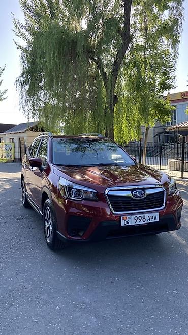 Subaru: Subaru Forester: 2020 г., 2.5 л, Вариатор, Бензин, Кроссовер — 6