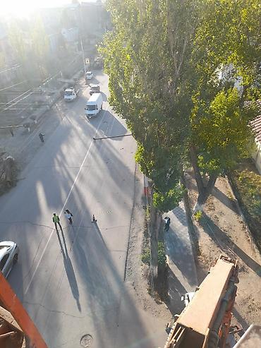 Спил деревьев, заготовка дров: Спил дерево 🌲 опытный пилшик бак кыйабыз отун аралайбыз Терек тополь — 5