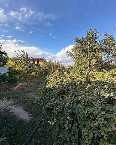 Үйлөрдү сатуу: 3 бөлмө, 60 м², 6 соток, Новопавловка, Кыймылсыз мүлк агенттиги — 5