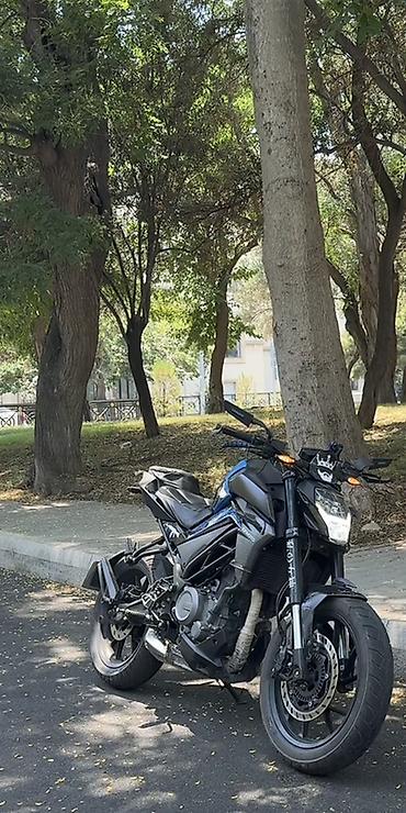 cücə satışı 2021: - 250 NK, 250 sm3, 2024 il, 90 km — 3