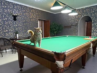 Бани, сауны, SPA: Сауна | Бассейн, Караоке, Комнаты отдыха — 4