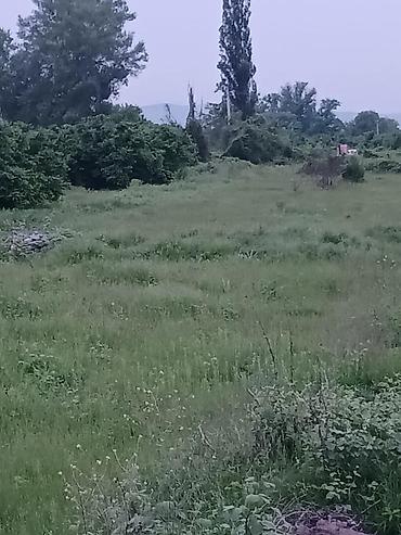 Torpaq sahələrinin satışı: 87 sot, Tikinti, Mülkiyyətçi, Kupça (Çıxarış) — 12