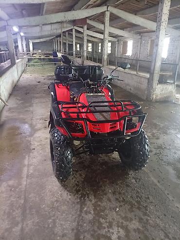 кводроцикл мото: Квадроцикл утилитарный, 4x4, красный/чёрный - Полноразмерная рама с — 4