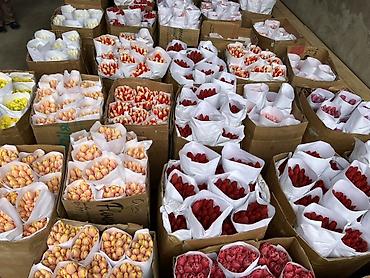 Букеты из живых цветов: Тюльпаны - Сорт: нежно-розовые тюльпаны с мягкой желтой каймой на — 8