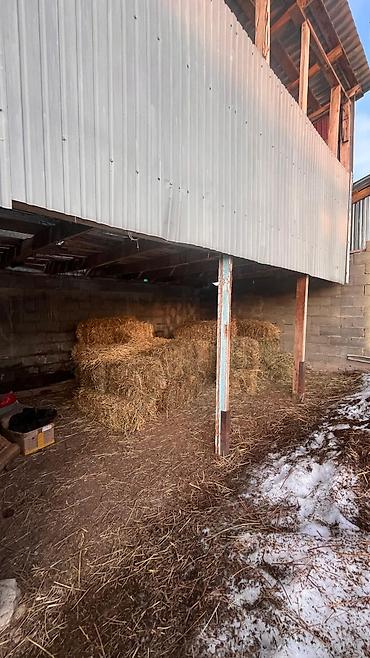 Продажа коттеджей и домов: Ассалам алейкум туугандар Срочно Срочно Срочно бизнеске ылайыктуу үй — 10