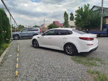 купить авто с кореи бу: Kia K5: 2019 г., 2 л, Автомат, Газ, Седан