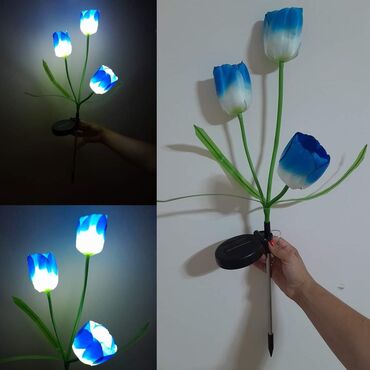 Rasveta: Solarno cveće AKCIJA Cena 1 kom 1250 din 2 kom 2050 din 3 kom 2750 — 7