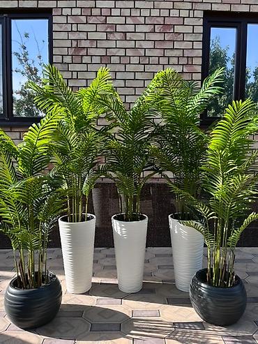 Декоративные цветы: 🌿✨ Mayram Decor.kg – искусственные деревья и цветы в Бишкеке ✨🌿 — 20