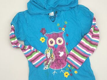 Sweatshirts: Sweatshirt, 7 years, 116-122 cm, condition - Fair