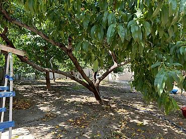 Продажа коттеджей и домов: Продается частный дом в районе Матросова / Жантошева Дом с центральным — 8