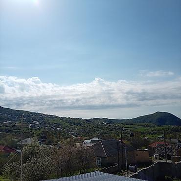 Torpaq sahələrinin satışı: Kənd təsərrüfatı — 4