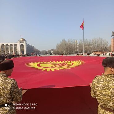 Другие предметы коллекционирования: Флаги — 13