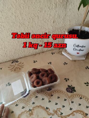 encir qurusu qiymeti: 100% təbii qatqısız Bakı Ənciri qurusu. Çox münasib qiymətə. Bağ