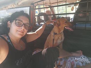 mačka prodaja: Pet shop “Maza & Nera” – sve za ljubimce na jednom mestu Pored — 4