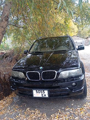 led лампа на авто: BMW X5: 2002 г., Автомат, Кроссовер — 4
