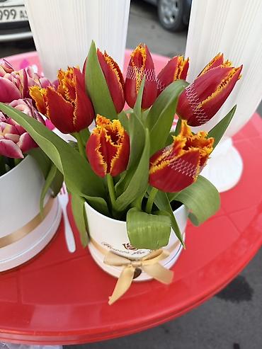 Букеты из живых цветов: Тюльпаны – свежие срезанные цветы и готовые букеты - Разнообразие — 5