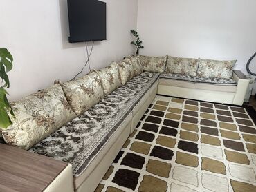 купить большие комнатные растения: Бурчу бар диван, Бүктөө