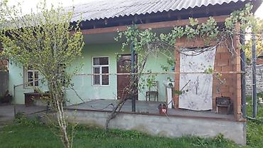 Həyət evləri və villalar: Zaqatala rayonunun Muğanlı kəndində, tam mərkəzdə, asfalt yol — 1