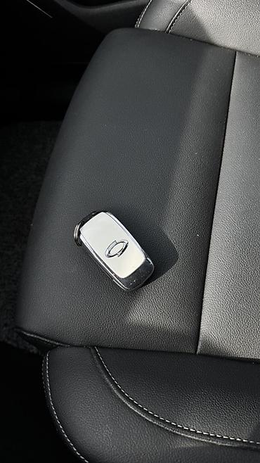 Renault: Renault QM6: 2020 г., 2 л, Вариатор, Газ, Кроссовер — 12