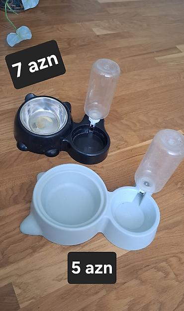pişik daşıma: Ev heyvanları üçün aksesuarlar 1) Daşıma qabı + tualet qabı + yemək — 3