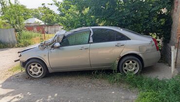 Nissan: Nissan Primera: 2 л, Автомат, Бензин, Седан