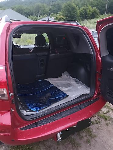 koreyadan avtomobil getirmek: Toyota RAV4: 2 l | 2006 il Krossover — 5