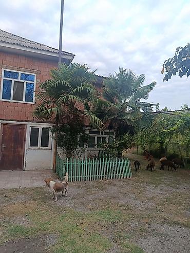 1 комнатная квартира студия: Satılır: həyətli iki mərtəbəli yaşayış evi - Ümumi təsvir: İki — 2